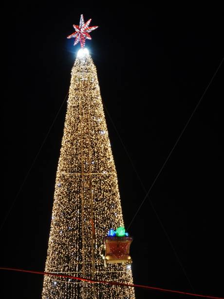 istock Christmastree by night in Hamburg 1447772096