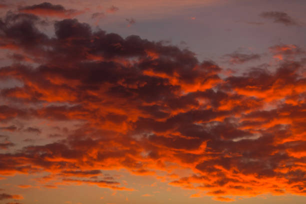 magnifique coucher de soleil. nuages orange dans le ciel. horizon. crépuscule - pastel colored sky ethereal softness photos et images de collection