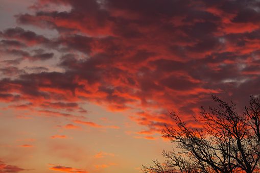 Sunset sky with orange clouds and blue background skies