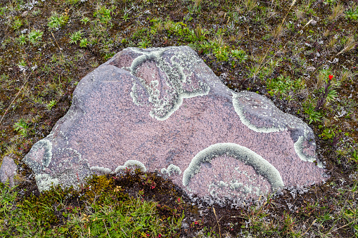 Paramos, wetlands, volcanic hills, rocks, springs, of the Cotopaxi National Park