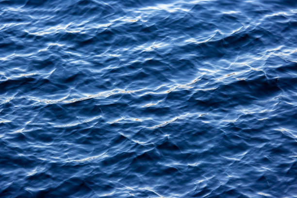 istock background texture of water in the river 1447778468