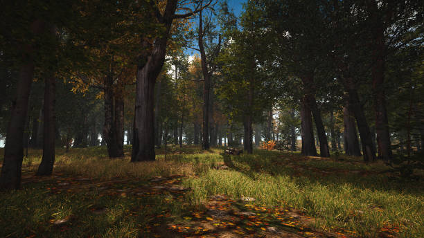 istock Graphic resources for sustainable development goals, biodiversity, a growing economy and ecology. 3D Render 1447783840