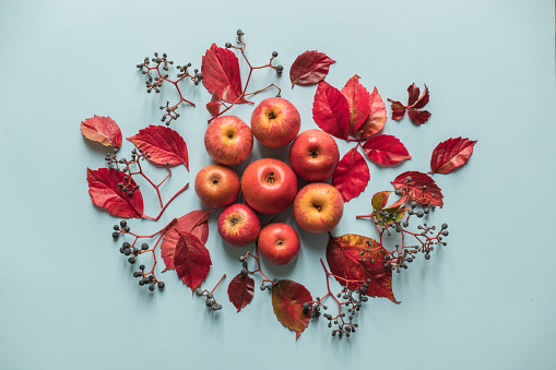 Apples background with autumn season vegetables