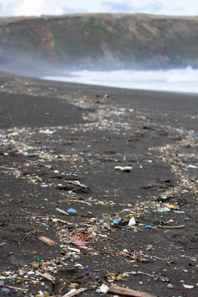 Trash in the sand, plastic waste by the ocean, sad and unsustainable. stock photo