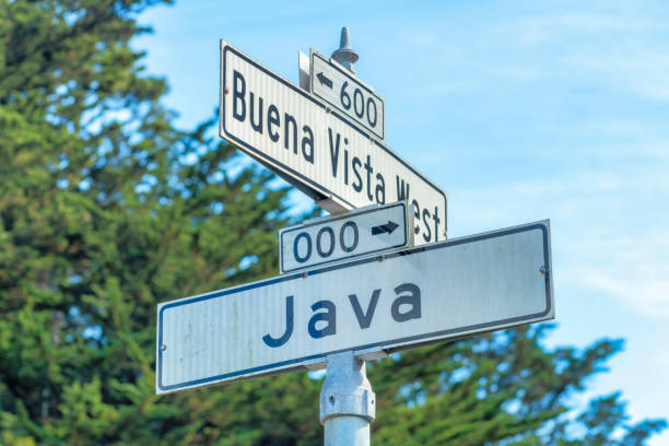 istock Road sign with the words Buena Vista West and Java with white paint and black text in partial sun and some shade 1447792849