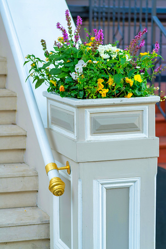 Front porch plant on gaurd banister with metal hand rail and decorative white and gray paint and accents with stairs. In mid afternoon sun with purple and yellow plants on the front of house or home.
