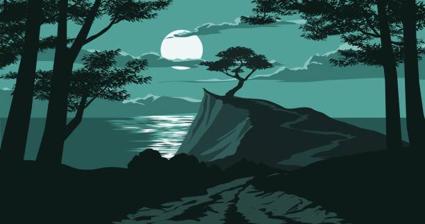 illustrations, cliparts, dessins animés et icônes de clair de lune sur la mer avec un arbre au bord de la falaise. - at the edge of illustrations