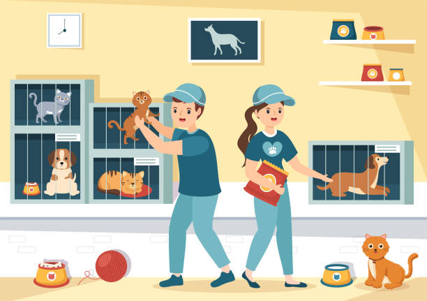 Adopt a Pet From an Animal Shelter in the Form of Cats or Dogs to Care for and Look After in Flat Cartoon Hand Drawn Templates Illustration Adopt a Pet From an Animal Shelter in the Form of Cats or Dogs to Care for and Look After in Flat Cartoon Hand Drawn Templates Illustration animal shelter stock illustrations