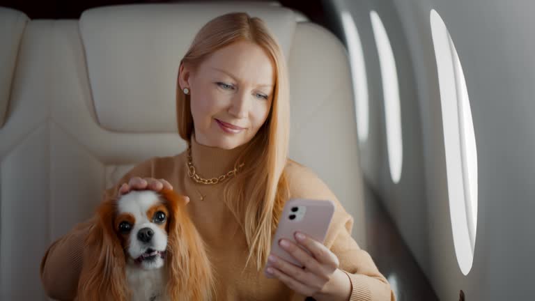 Beautiful rich woman with dog using smartphone in private first class plane