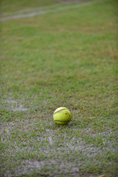 istock A fresh green softball left on a raining pitch waiting for a  start. 1447805350
