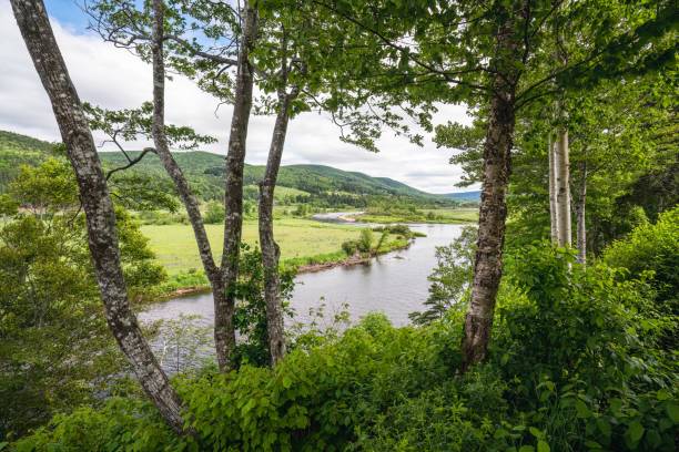 istock Margaree river in Fordview at Cape Breton Island, Nova Scotia, Canada 1447806582