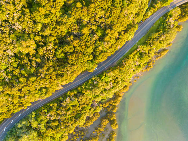 istock Beautiful panoramic landscape from altitude, overpass road. 1447807539