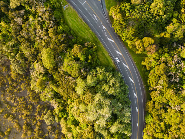 istock Aerial view of road in a forest. 1447807541