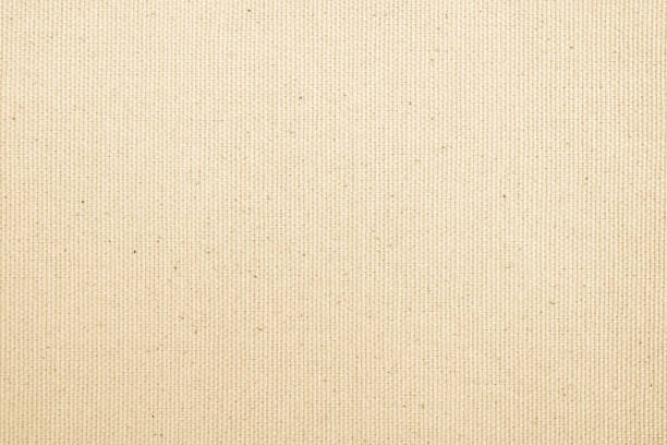 istock Calico fabric cloth texture background in light cream beige color 1447811112