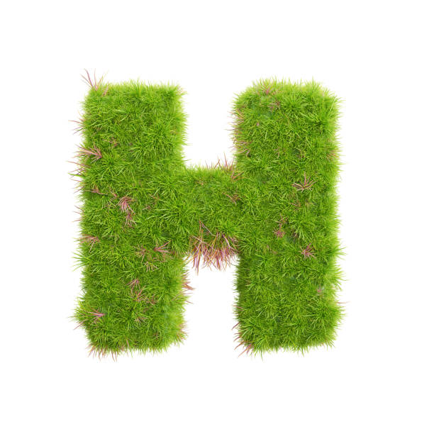 istock 3d rendering of grass letters alphabet,the word h. 1447813697