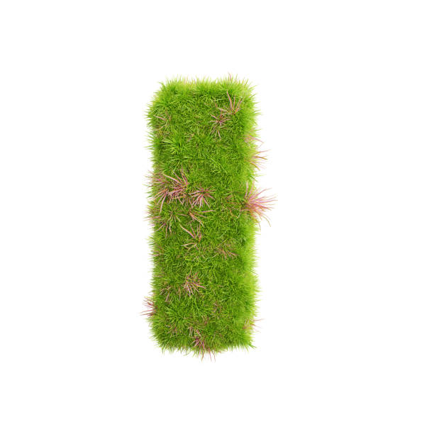 istock 3d rendering of grass letters alphabet,the word i. 1447813700