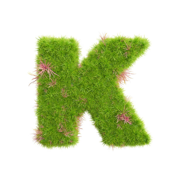 istock 3d rendering of grass letters alphabet,the word k. 1447813702
