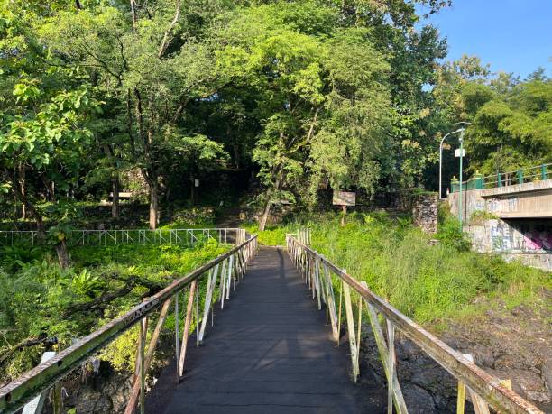 istock There is bridge for crossing the river. 1447814970