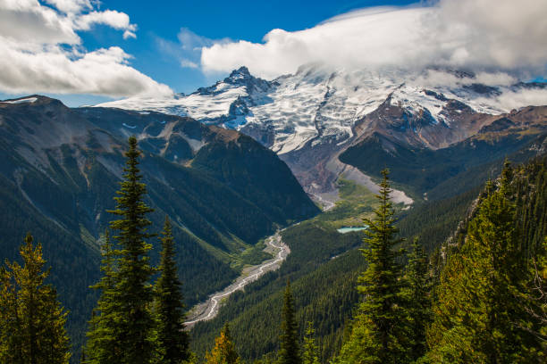 istock Mt Rainier waterfalls and mountain landscapes 1447815161