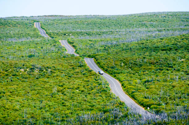 Cap Du Couedic Photos Banque d'images et photos libres de droit iStock