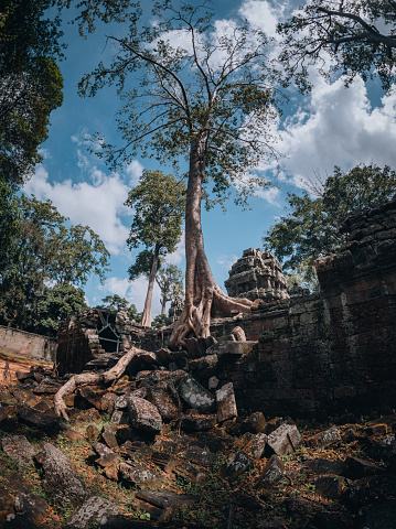 Ta Prohm temple ruins is Khmer ancient temple in complex Angkor Wat in Siem Reap, Cambodia.