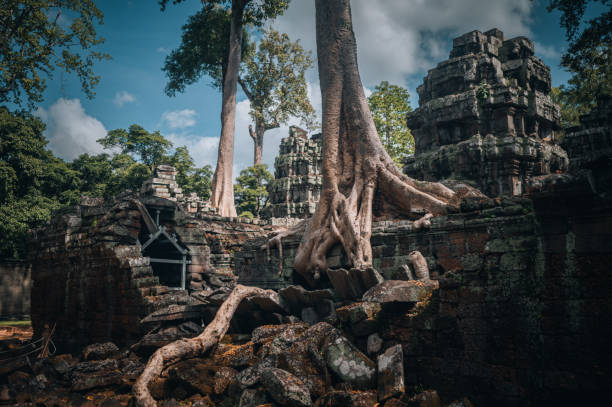 アンコールにあるカンボジアのタプローム寺院の生い茂った遺跡 - ancient angkor wat footpath stone ストックフォトと画像