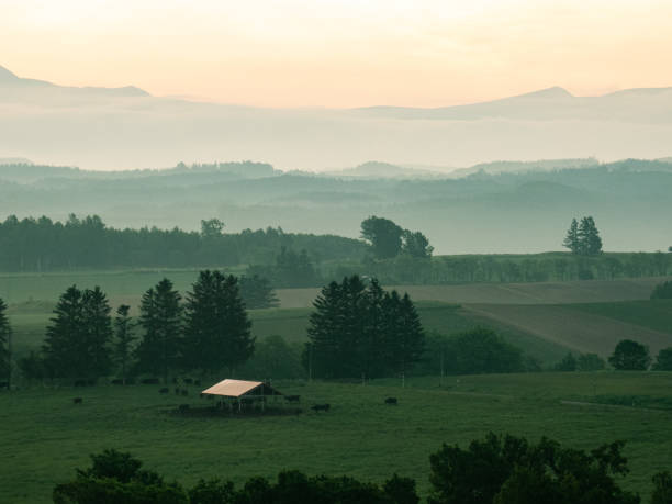 istock Spring hills where the dawn breaks through the morning fog 1447827305