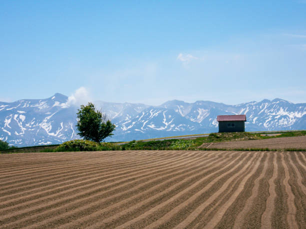 istock A field overlooking the Tokachi mountain range 1447828871
