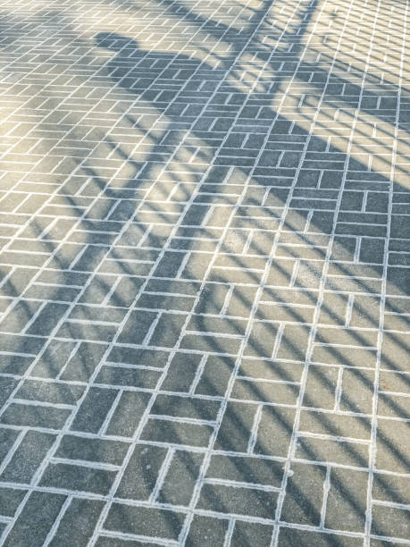 istock tiled sidewalk. geometric pattern texture background with shadow from the garden fence. 1447828916