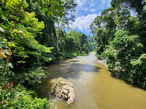 Danum river in Danum valley rain forest Lahad Datu Sabah Borneo Malaysia