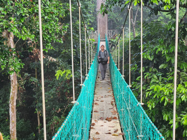 istock Man walking at suspension bridge in tree top canopy walkway in Danum rain forest Lahad datu 1447830850