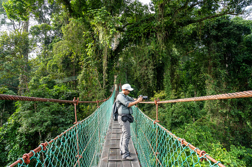 Man taking photo with at suspension bridge in tree top canopy walkway in Danum rain forest Lahad Datu Sabah Borneo