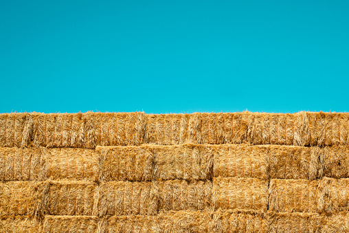 Large group of hay bales stacked against a turquoise sky background