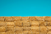 istock Large group of hay bales stacked against a turquoise sky background 1447833921