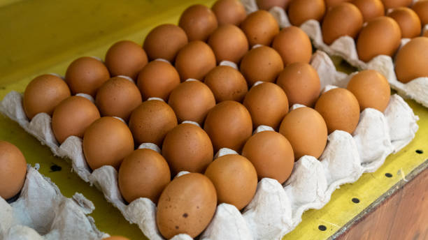 istock Stack of egg racks ready to be sent to sales agents 1447841692