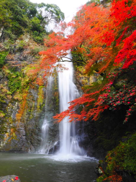 istock Autumn leaves and waterfall 1447841717