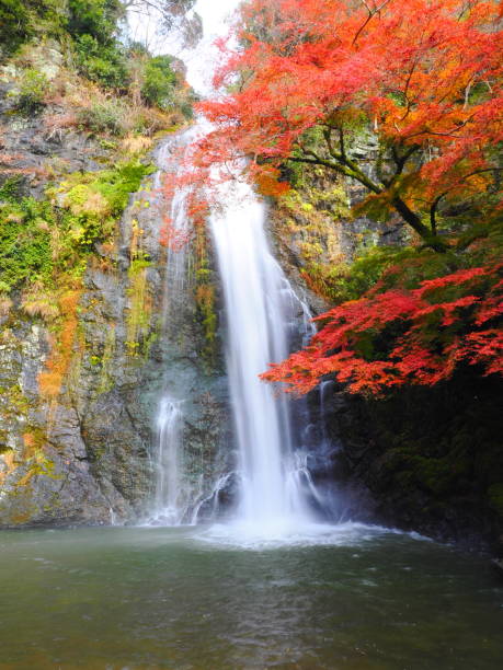 istock Autumn leaves and waterfall 1447841795