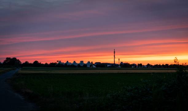 istock Beautiful shot of a field at sunset 1447844251