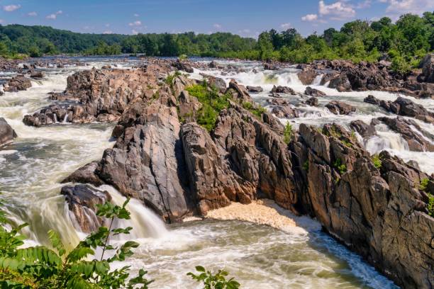 istock Water stream with rocks in it surrounded by greenery 1447845046