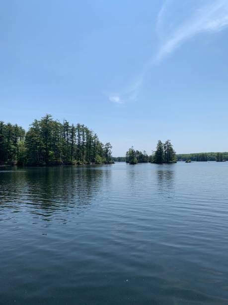 istock Vertical shot of a scenic lakeside with greenery under the blue sky 1447845971