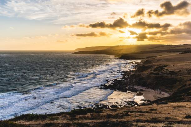 istock Idyllic scenery of a beach being washed by the waves at sunset 1447846044