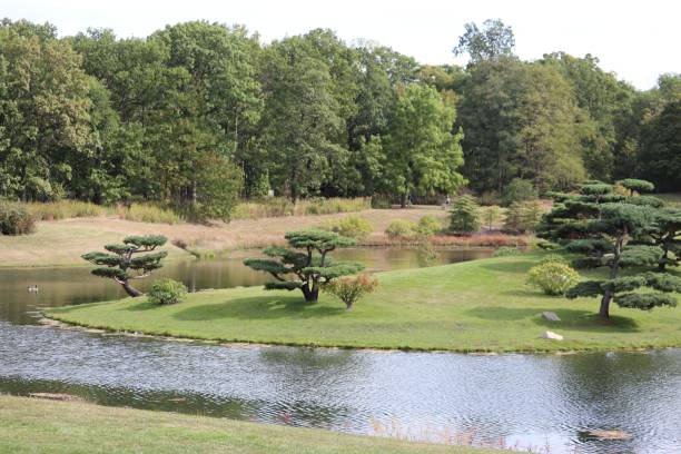 istock Garden with river, trees and fields on a sunny day 1447846865