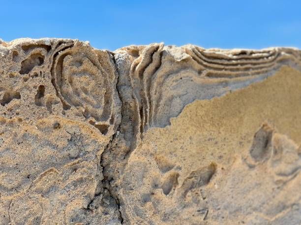 istock Closeup of a textured rock formation against a blue sky 1447847580