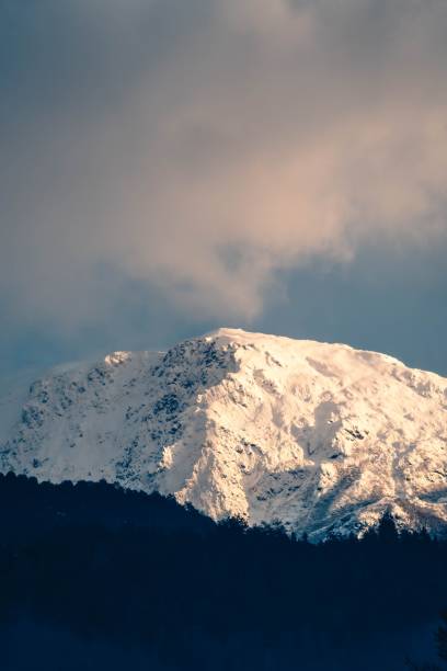 istock Vertical shot of a snowy mountain range against a dense forest at sunset 1447847767