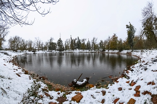 A beautiful shot of a lake in a forest covered in snow during the day in winter