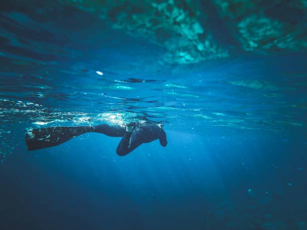 istock Diver swimming on a sea surface with sunlight passing thought the water 1447849117