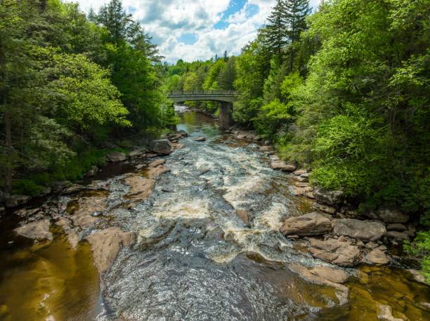 istock High-angle of blackwater river flowing through stones trees cloudy sunlit sky background 1447851027