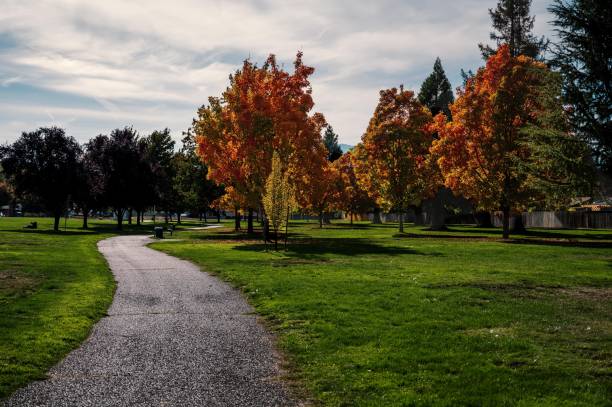 istock Cloudy white sky over the park with a footpath and colorful trees in autumn 1447852951