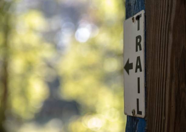 istock Trail marker pointing toward the direction of trail 1447853975