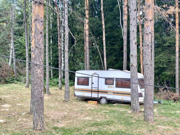 istock Beautiful view of a bus in the forest 1447853981